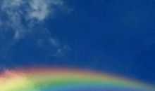 我懂得了不经历风雨怎能见彩虹_650字