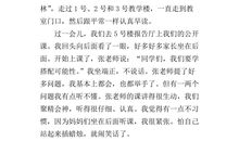 一堂有趣的英语公开课_400字