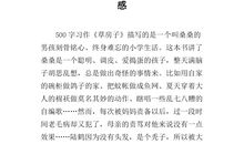 读《草房子》有感_800字