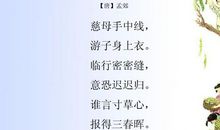 《游子吟》读后感_550字