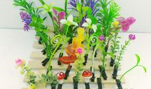 窗台上的豆苗花 _450字