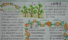 《青铜葵花》读后感_550字