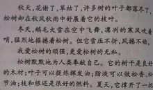 关于爸爸的作文：默默付出的爸爸_800字