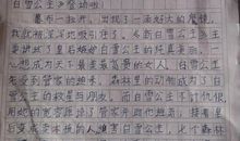 《木偶奇遇记》读后感_300字