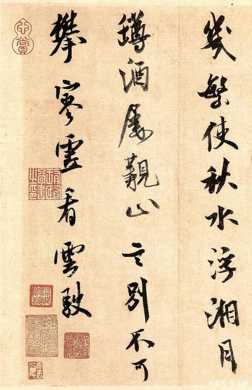 贵重宝藏_750字