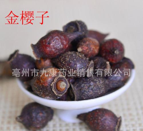 燃烧小马