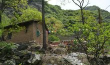 樱桃沟游记_450字