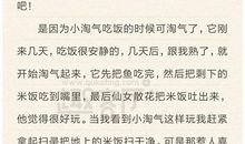 关于爸爸的作文：爸爸参加运动会_800字