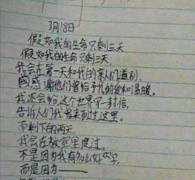 关于爸爸的作文：爸爸的“马”__900字