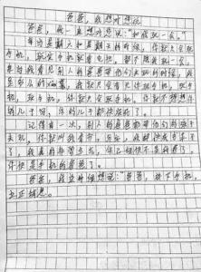 爸爸上的组成：关键词_500字