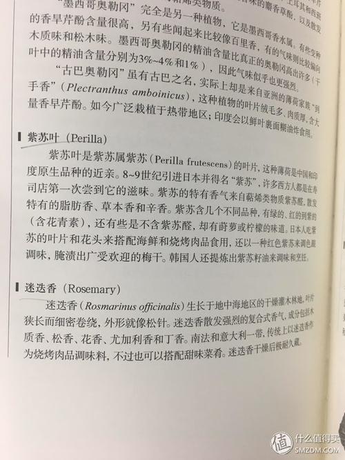 关于爸爸的作品：吸烟爸爸_600字
