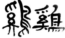 被遗忘的精神_600字