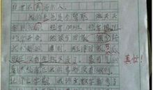 关于爸爸的作文：我的球迷爸爸_650字