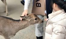 令人羡慕的家庭_500字