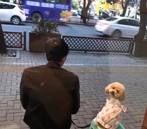 母亲爱跨越_650字