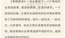 痛苦的美丽——青铜葵花读后感_500字