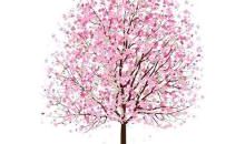 心是一棵树_250字