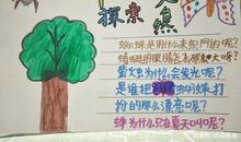 大自然的秘密_250字