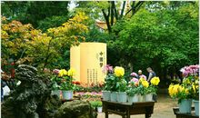 读《中国梦》有感_650字