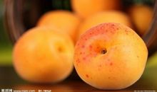 家乡的杏子 _150字