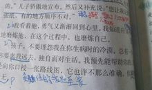 《桥下一家人》读后感_500字
