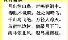 《云雀的心愿》读后感_350字