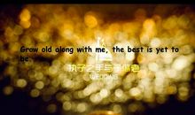 最好的自己The Best Me_350字