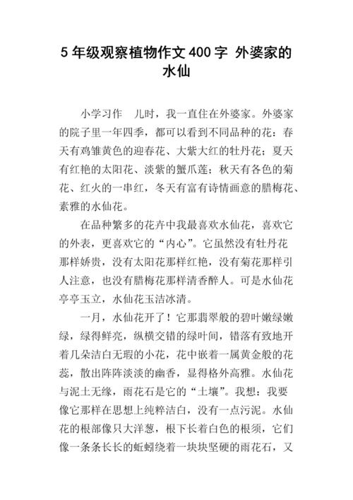 观察工厂_250字