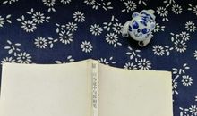 只为途中与你相见_900字