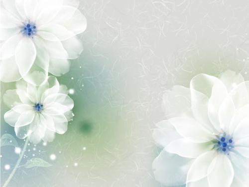 普通的花朵，典雅的香味 - 普通人周围_900字