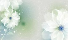 平凡的花朵，淡雅的芬芳——身边的普通人 _900字