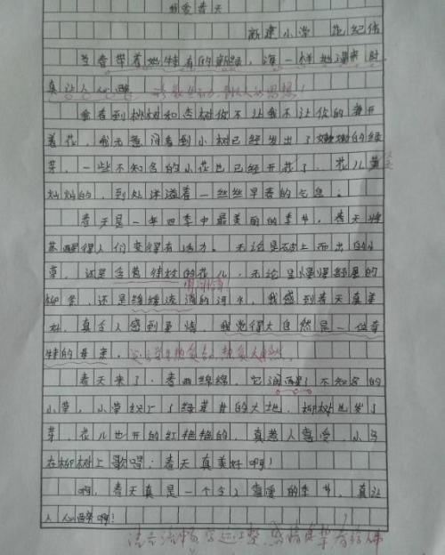 最后一个_300字