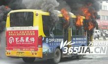 在公交车发生的一件事_600字