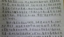 《爱的教育》读后感_350字