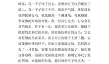 我家的新成员_200字