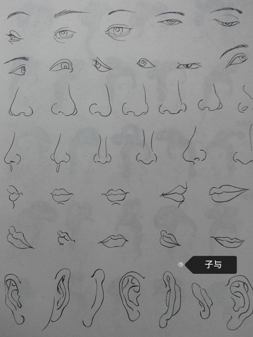 眼睛_550字