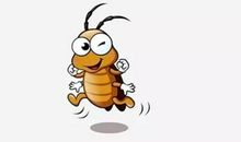 自投罗“网”_450字