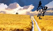 守望麦田_100字