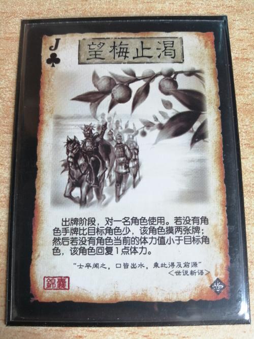 阅读“Wangmei Squesing”感觉_250字