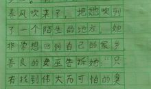《绿野仙踪》读后感_150字