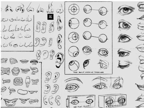 人类五种感官_1200字
