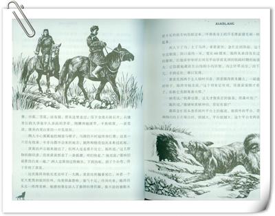 阅读_800字后，“狼图腾的小狼”