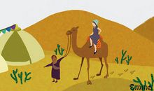 读《花婆婆》有感_450字