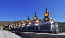 阿Z模仿名人的后果_400字