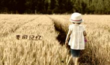 假如我在麦田里遇到了你
