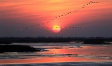 美丽的日出_450字