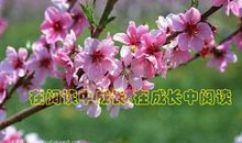 像大海那样_1200字