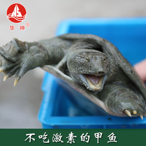_450字