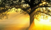 永远回不去的那一刻_650字