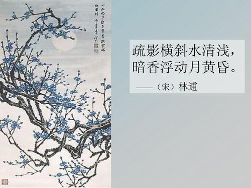 分裂水平冲击，漂浮着月亮黄昏的黑暗香水